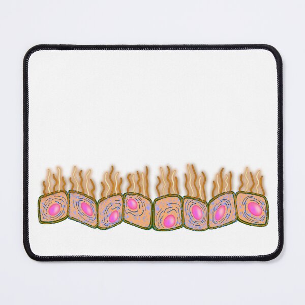 Item preview, Curly cuboid cell culture designed and sold by Osher-BioArt.