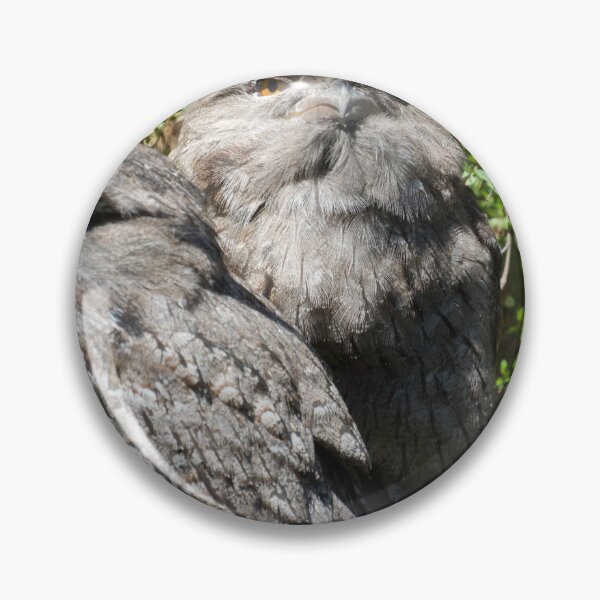 Item preview, Tawny Frogmouth designed and sold by D-GaP.