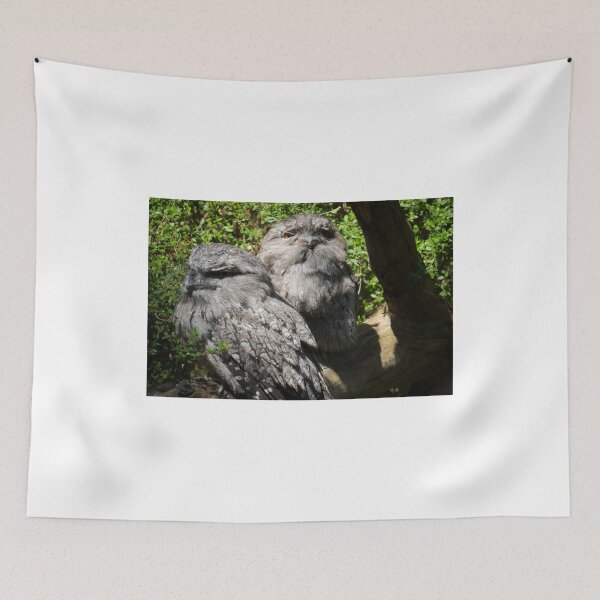 Item preview, Tawny Frogmouth designed and sold by D-GaP.