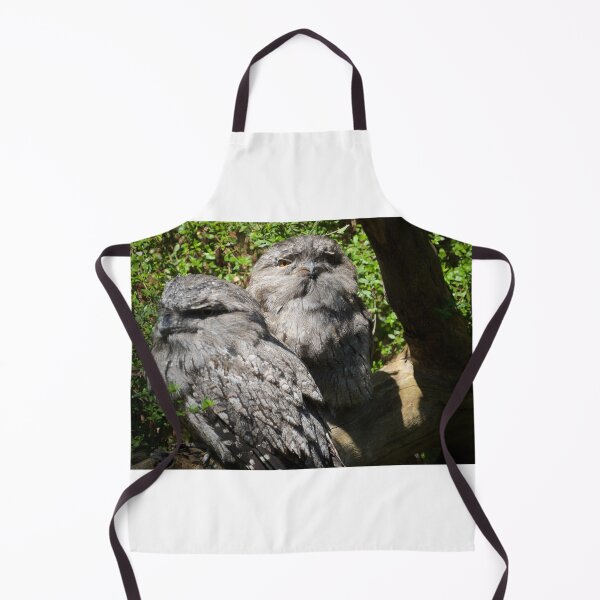 Item preview, Tawny Frogmouth designed and sold by D-GaP.