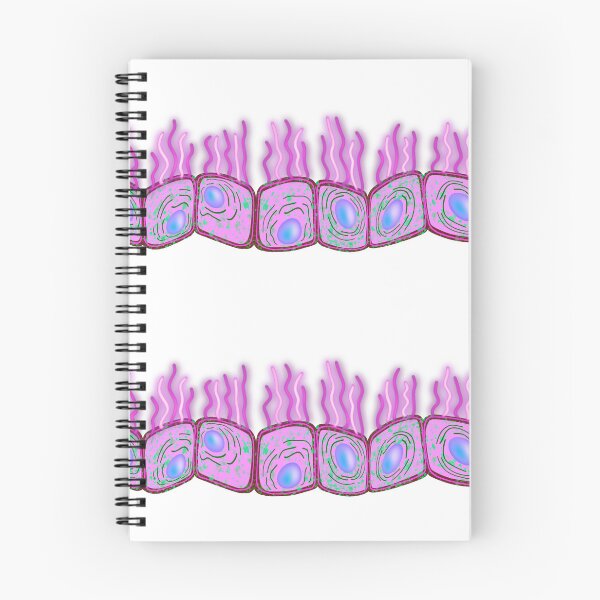 Item preview, Curly cuboid cell culture, pink version designed and sold by Osher-BioArt.
