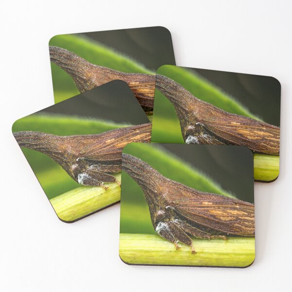 Item preview, Thorn Shaped Treehopper - Membracidae designed and sold by AronsTinySafari.