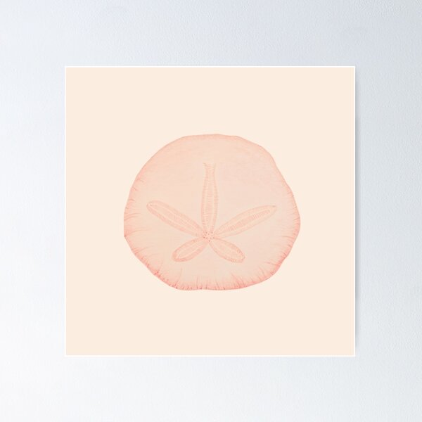 Item preview, Sand Dollar designed and sold by KarinaInSD.