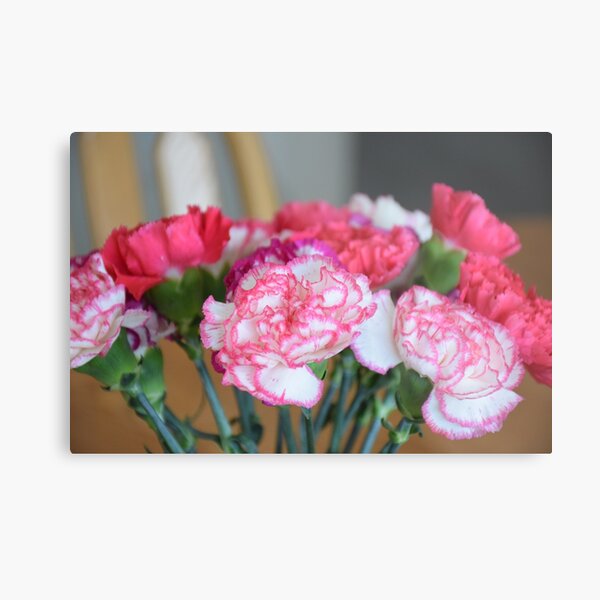 Carnation Metal Print