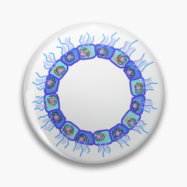Item preview, Circular cuboid cells designed and sold by Osher-BioArt.