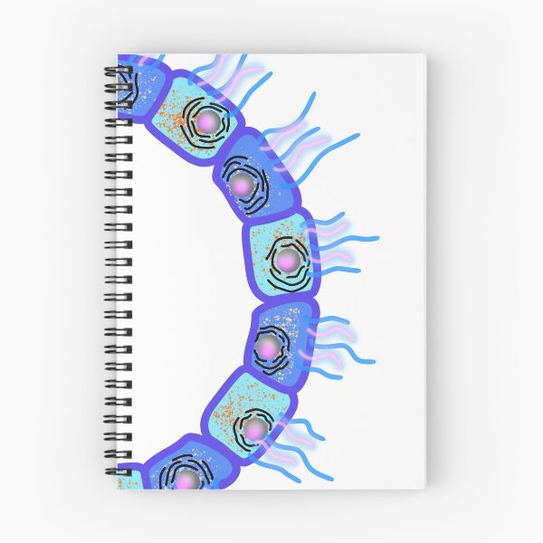 Item preview, Circular cuboid cells designed and sold by Osher-BioArt.