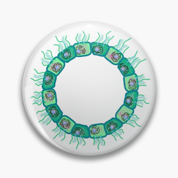 Item preview, Circular cuboid cells GREEN VERSION designed and sold by Osher-BioArt.