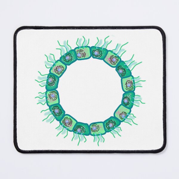 Item preview, Circular cuboid cells GREEN VERSION designed and sold by Osher-BioArt.