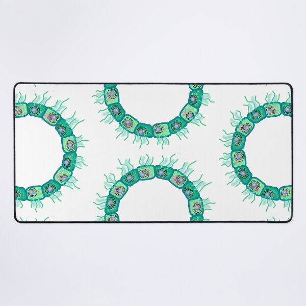 Item preview, Circular cuboid cells GREEN VERSION designed and sold by Osher-BioArt.