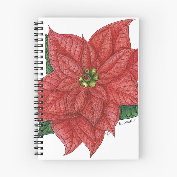 Item preview, Big Christmas Flower designed and sold by ideiarte.