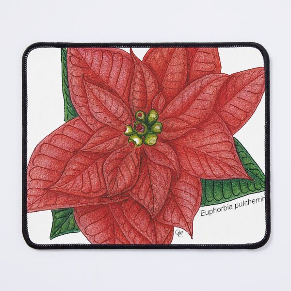 Item preview, Big Christmas Flower designed and sold by ideiarte.