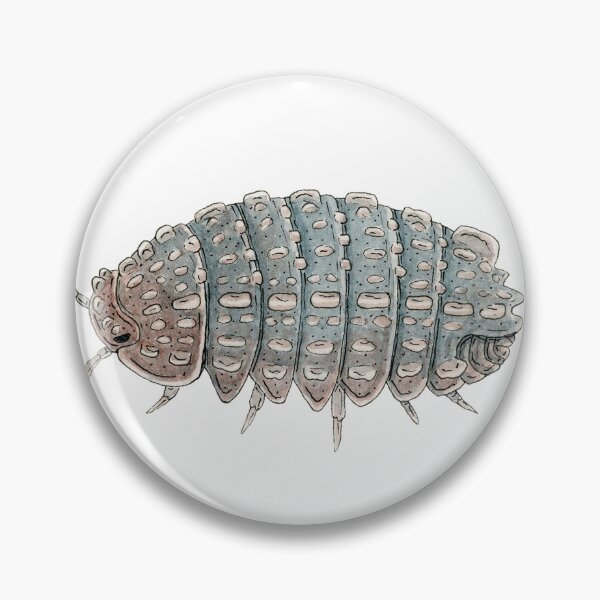 Item preview, Reductoniscus tuberculatus Isopod designed and sold by paintedpansy.