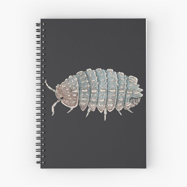 Item preview, Reductoniscus tuberculatus Isopod designed and sold by paintedpansy.