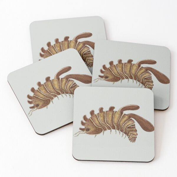 Item preview, Stigmops howensis Isopod designed and sold by paintedpansy.