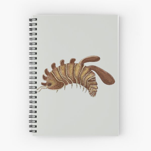 Item preview, Stigmops howensis Isopod designed and sold by paintedpansy.