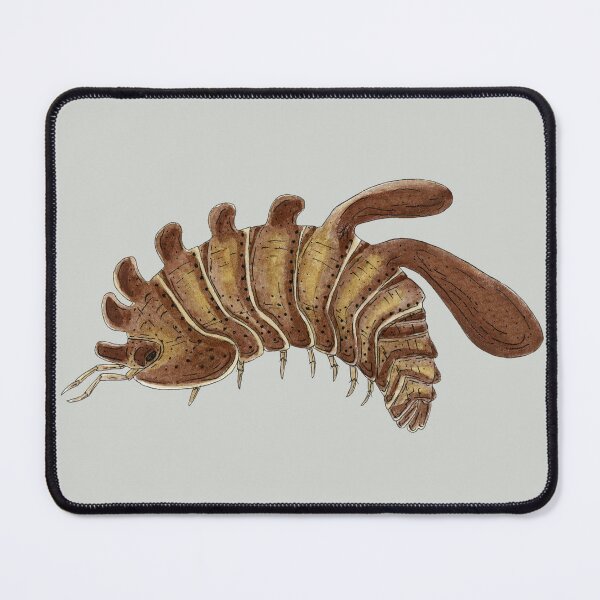 Item preview, Stigmops howensis Isopod designed and sold by paintedpansy.