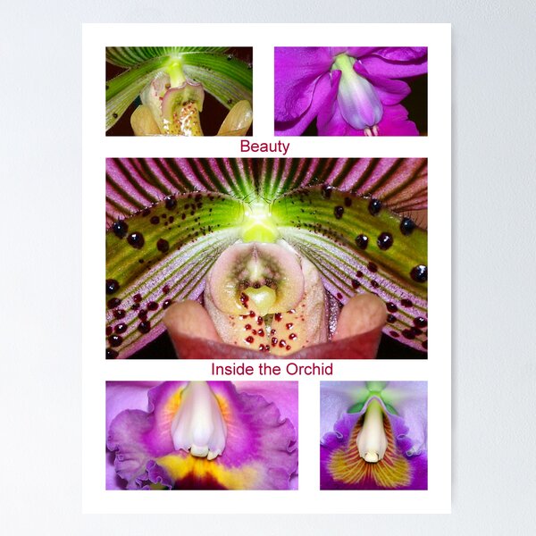 Item preview, Beauty inside the Orchids designed and sold by Clive.