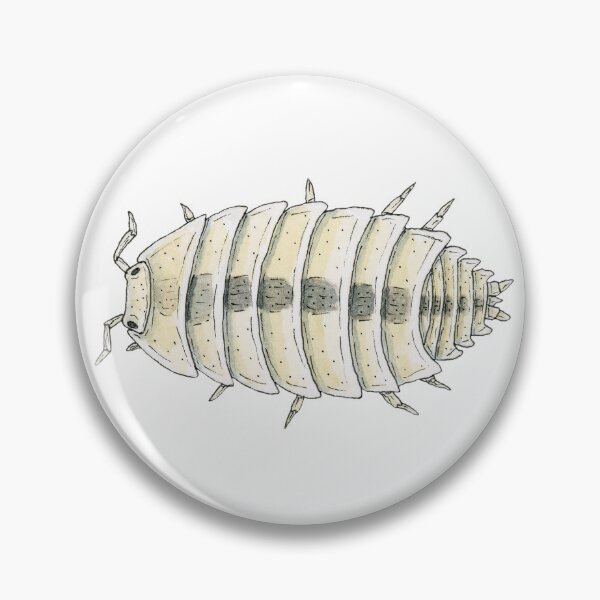 Item preview, Trichorhina tomentosa "Dwarf White" Isopod  designed and sold by paintedpansy.