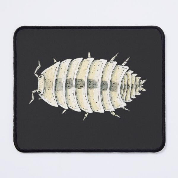 Item preview, Trichorhina tomentosa "Dwarf White" Isopod  designed and sold by paintedpansy.