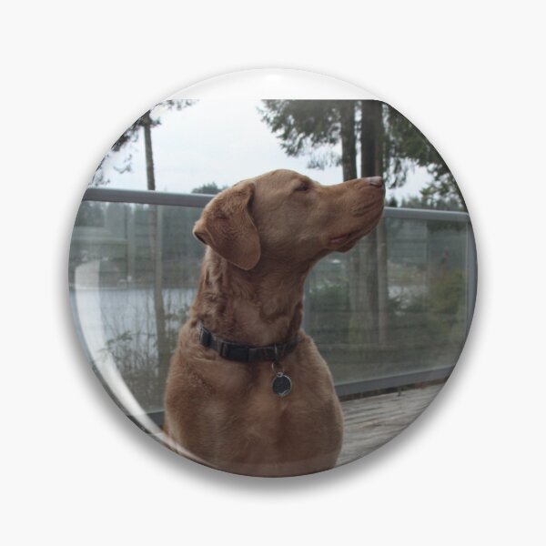 Item preview, My Dog Gerald designed and sold by PetesPNWPhotos.