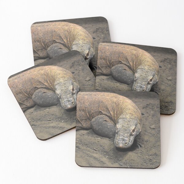 Item preview, Komodo Dragon designed and sold by Sharon the Zoo Lady Photography .