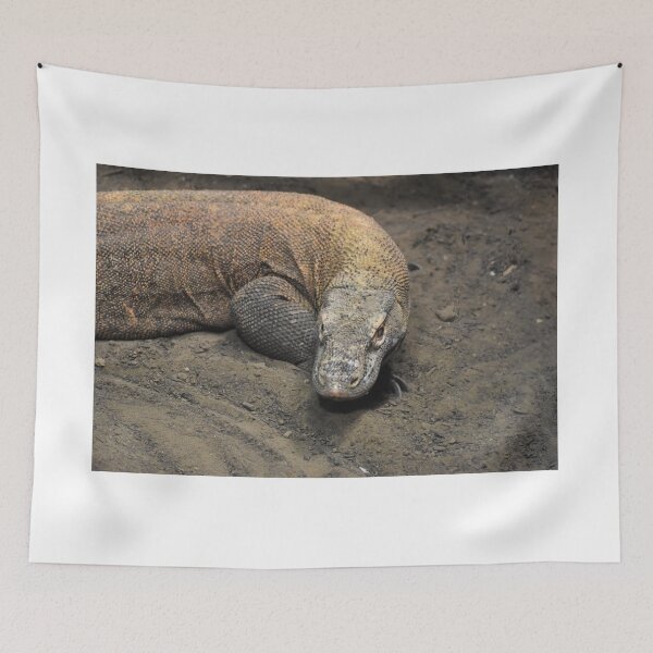 Item preview, Komodo Dragon designed and sold by Sharon the Zoo Lady Photography .