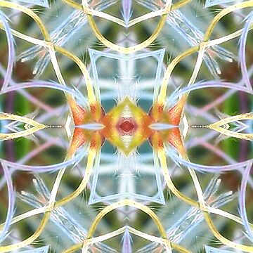 Artwork thumbnail, Abstract mandala by Andrea Franchi