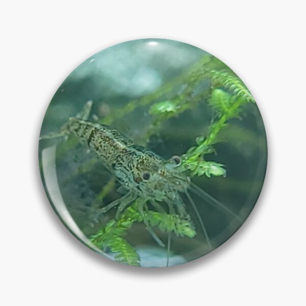 Item preview, Shrimp on a Leaf designed and sold by PetesPNWPhotos.