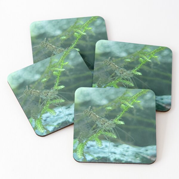 Item preview, Shrimp on a Leaf designed and sold by PetesPNWPhotos.