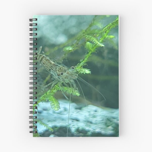 Item preview, Shrimp on a Leaf designed and sold by PetesPNWPhotos.