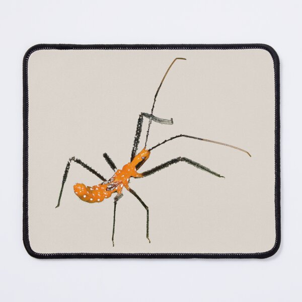 Item preview, Assassin Bug designed and sold by RainbowSpinkle.