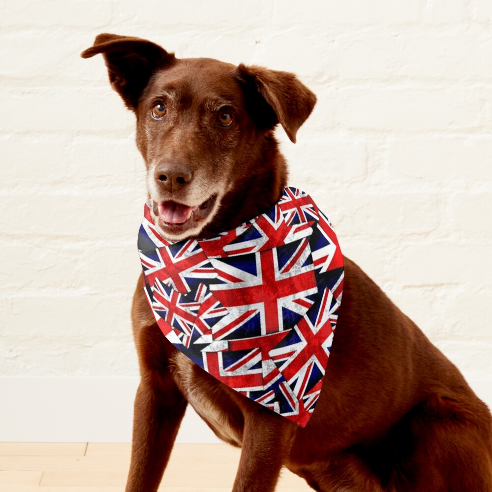 Union jack cheap dog coat