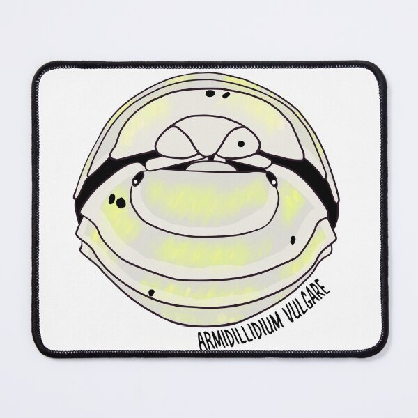 Item preview,  Armadillidium Vulgare Isopod designed and sold by Kirin-Riki.