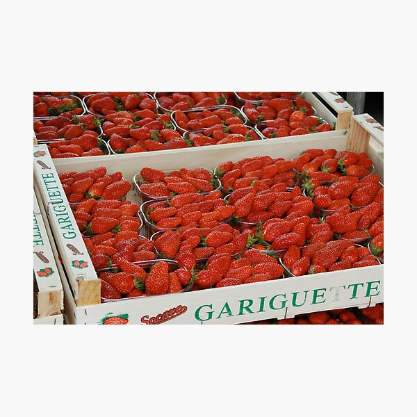 Fresh strawberries in France Photographic Print