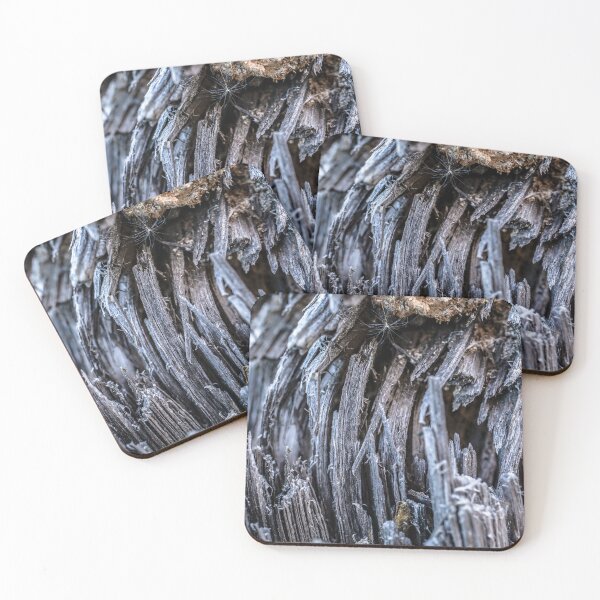 Item preview, Close Up of an Old Broken Tree designed and sold by jecphotography and art.