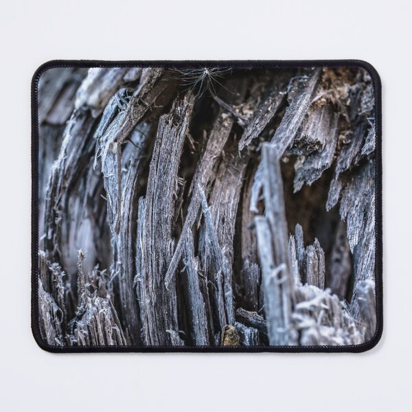 Item preview, Close Up of an Old Broken Tree designed and sold by jecphotography and art.