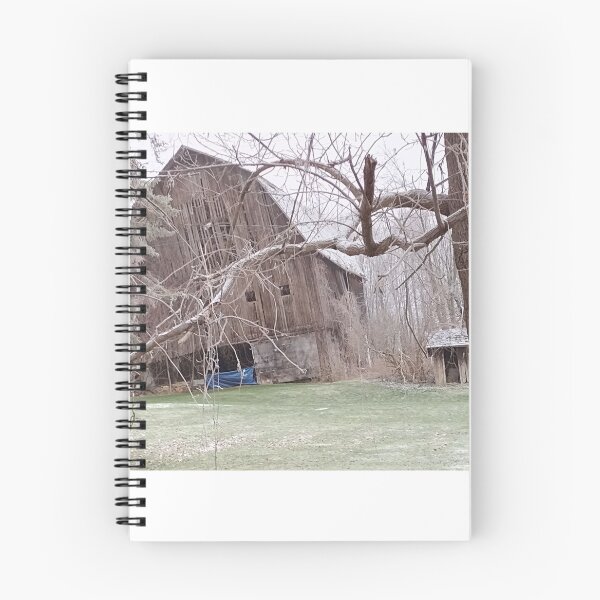 Item preview, Decaying Barn designed and sold by TechLaughs.