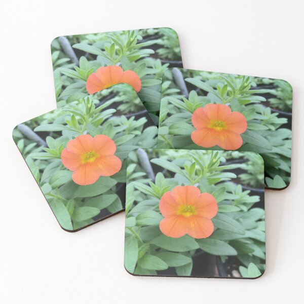 Item preview, Orange Calibrachoa (Million Bells) designed and sold by Luna-13.