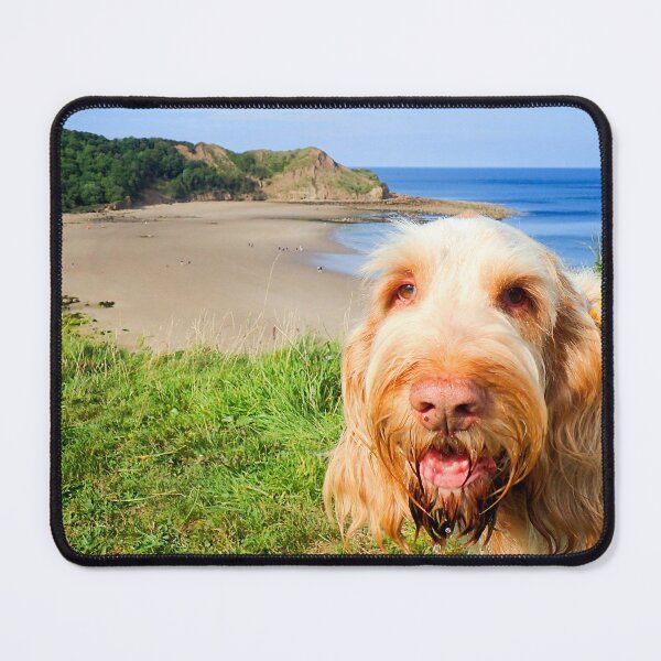 Item preview, At the beach Spinone designed and sold by FOLK ART FUSION.