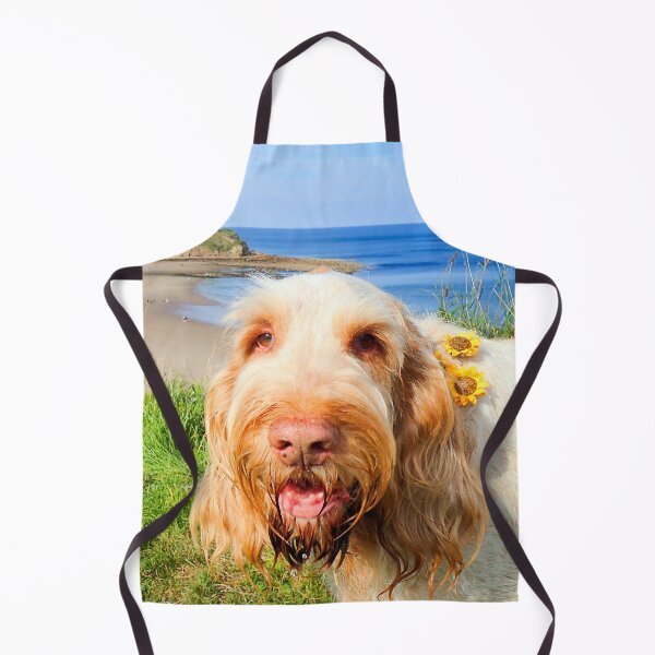 Item preview, At the beach Spinone designed and sold by FOLK ART FUSION by heidiannemorris.