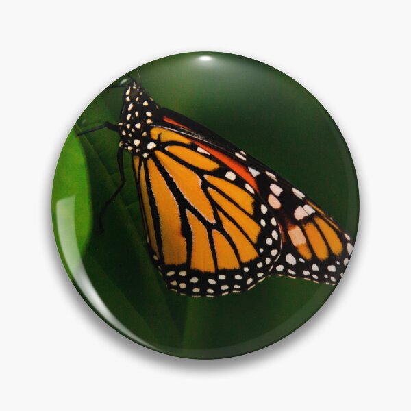 Item preview, Butterfly designed and sold by VickyGood.