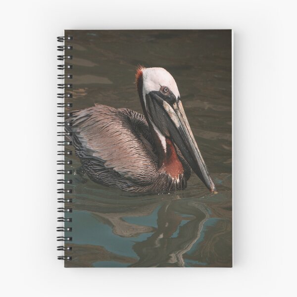 Item preview, Pelican on the water designed and sold by H-MathisDesigns.