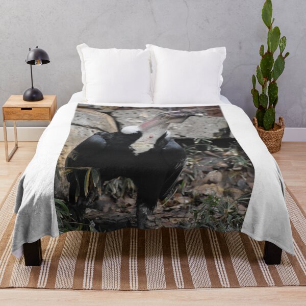 Item preview, Andean Condor designed and sold by Sharon the Zoo Lady Photography .