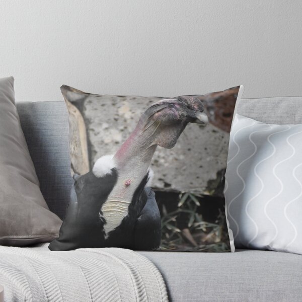 Item preview, Andean Condor  designed and sold by Sharon the Zoo Lady Photography .