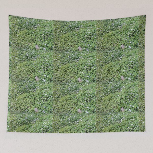 Item preview, Viola hederacea designed and sold by Margaret Stevens.