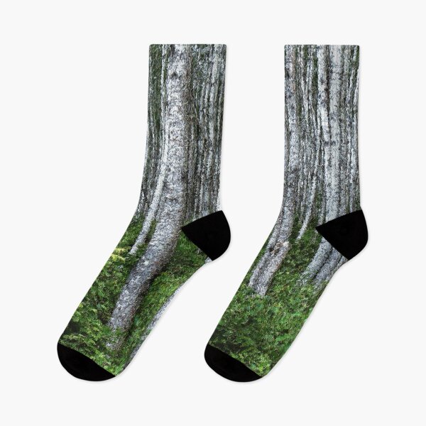Item preview, In The Woods designed and sold by timdaytimages.