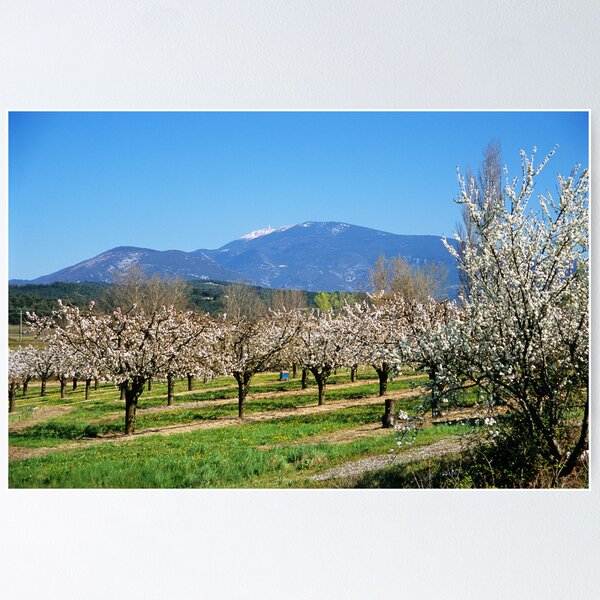 Item preview, Mont Ventoux - France designed and sold by Alison Cornford-Matheson.