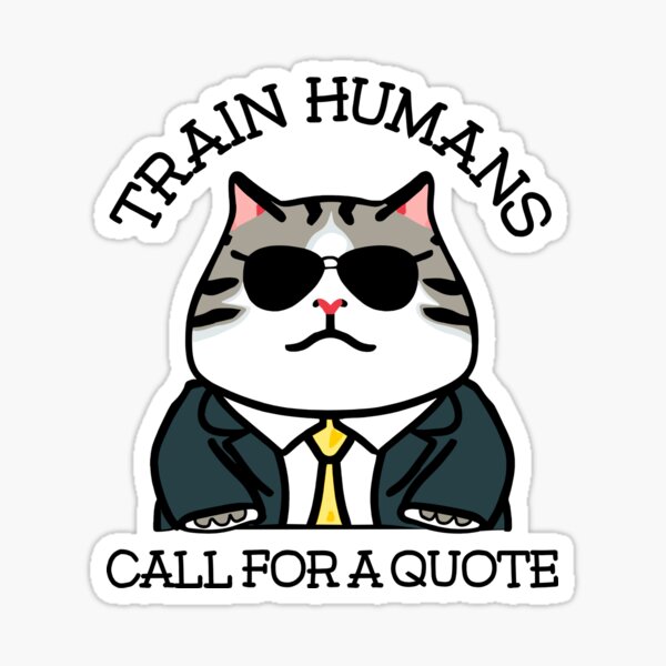 Funny boss cat 4 Funny boss cat 4