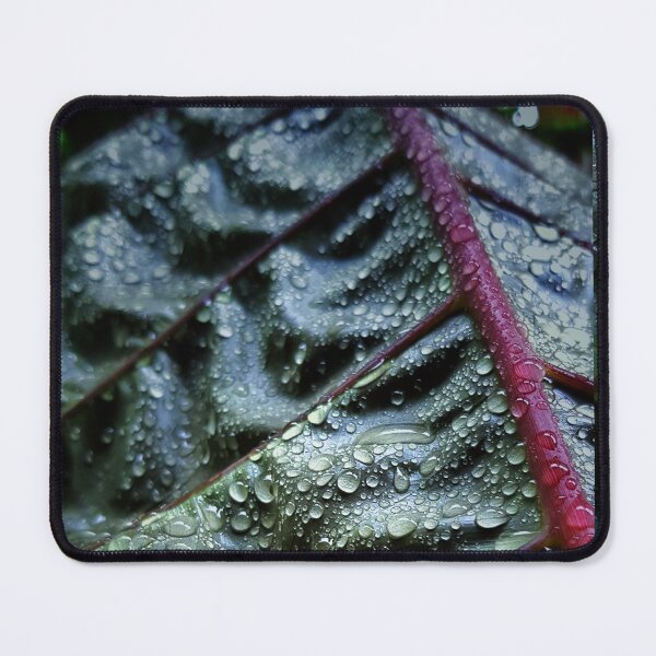 Item preview, tropical rain - raindrops on a monstera leaf designed and sold by OZKURO.