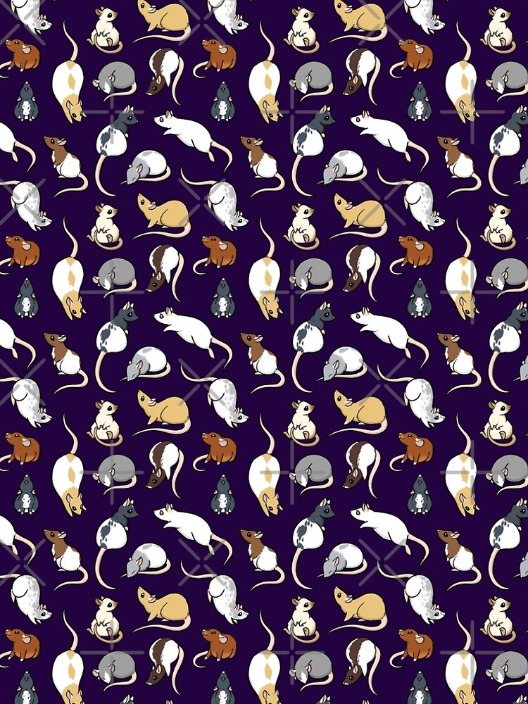 Rats by bgolins